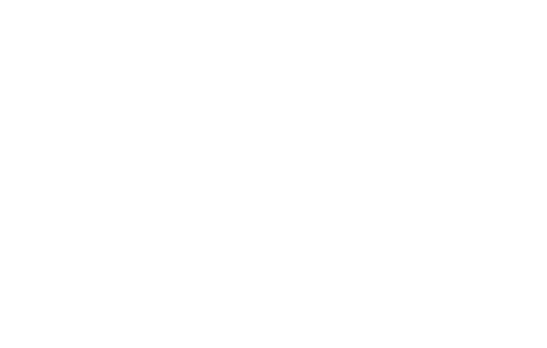 logo Lupa